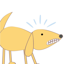 Cão em alerta