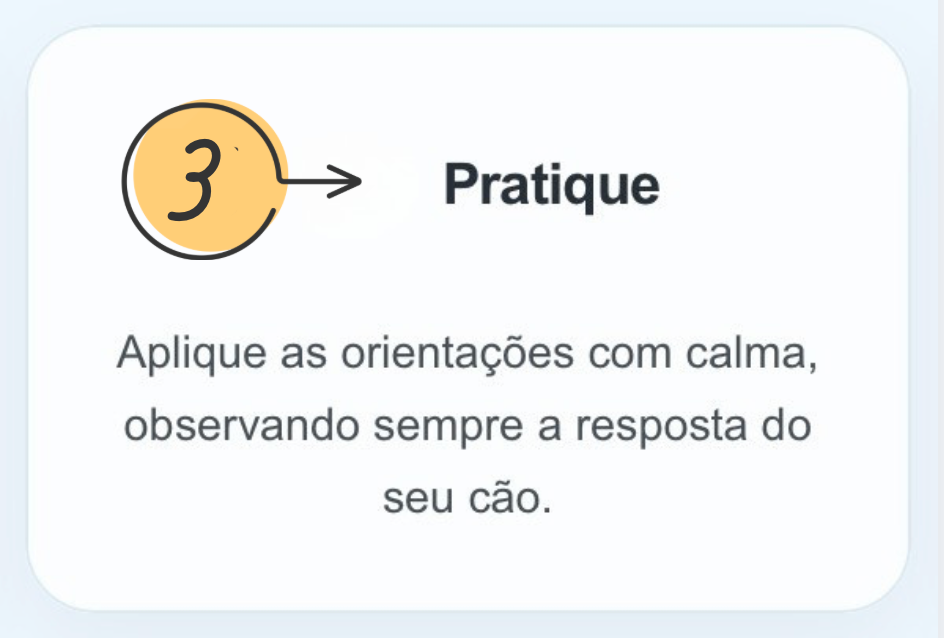 Passo 3: Pratique
