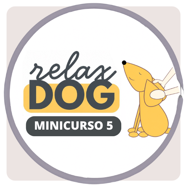 Selo do Minicurso 5